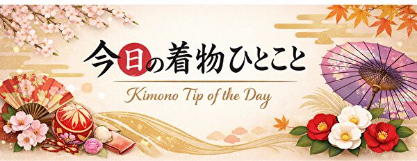 今日の着物ひとこと